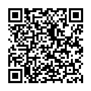 一个是朱家早已经猜到怀远堂后面会主动放出这个消息二维码生成