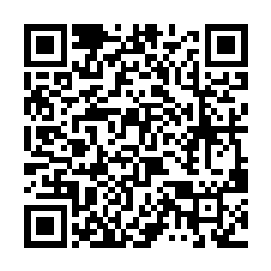 一个是焚灭帝子表现出来的力量已经赢得韩风的尊重二维码生成