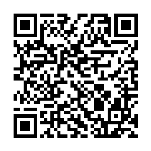 一个晶莹透白的长菱形法印赫然出现在光洁饱满的额上二维码生成