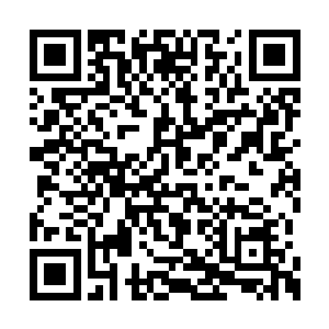 一个月下来何明坤也就能把盘子刷的相当顺溜了二维码生成