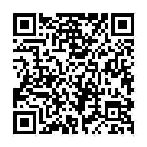 一个月也才堪堪从玄阶三星中期踏入到玄阶四星初期极限而已二维码生成