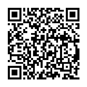 一个月没有见他的夏天祁见到他的第一句话就是二维码生成