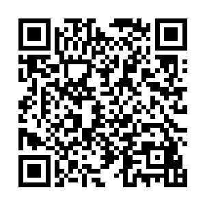 一个月给他的薪水就是在外面累死累活干两年也赚不到二维码生成