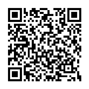 一个来自外域的灵魂……可出乎意料的不是夺舍二维码生成