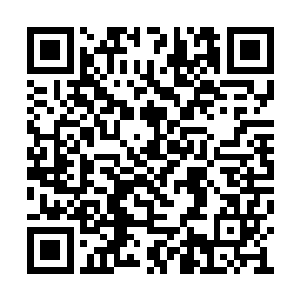 一个极有可能是在三十岁以内跨入到圣域的天才二维码生成