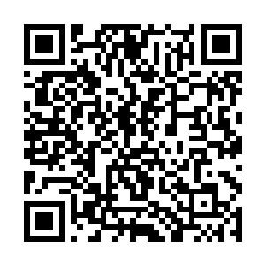 一个正在盘膝打坐的少年模样的男子忽然睁开了眼帘二维码生成