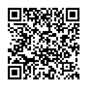 一个正常的婴儿似乎也不可能在荒郊野外活下来二维码生成