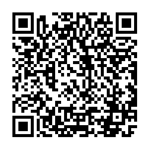 一个武师实力的人出现在寒冰界这种危险重重的地方简直是令人不可思议的二维码生成