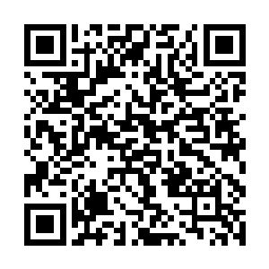 一个比巨人更大数倍的庞然巨兽席卷着火浪从天而降二维码生成