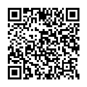 一个比龙傲天几个人住的要奢华数倍的别院之中二维码生成