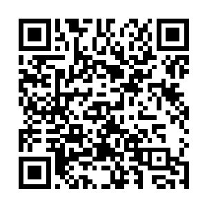 一个活了万千年的老妖怪给自己护法还有什么不放心的二维码生成