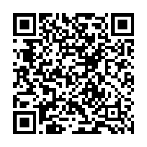 一个浑身是血的身影从那道数公里长的深沟中挣扎出来二维码生成