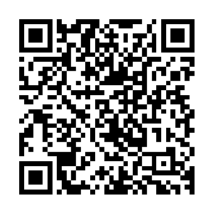 一个浑身血污几乎看不清面容的身影出现在了第七区的升降台上二维码生成