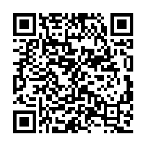 一个浑身躺着鲜血的模糊物体躺在里面一动不动二维码生成