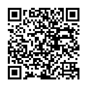 一个涅盘四重天力压掌握剑力涅盘六重天修炼者的绝世天才二维码生成