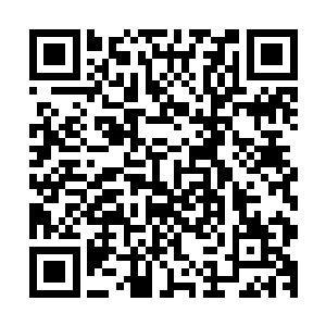 一个满脸阴骘的血衣人眼底闪过了一丝阴郁的神情冷冷的说道二维码生成