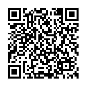 一个满脸yin鸷的老者望着眼前一个身穿太极道袍二维码生成