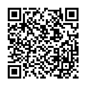 一个满身是血穿着王府侍卫衣服的男子到了何家庄二维码生成