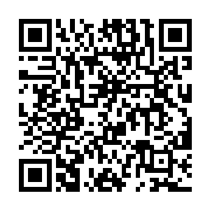 一个熟悉的人影忽然的出现在了我视线可及的最远端二维码生成