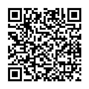 一个独自一人骑着最大一头鹏鸟的女巫从队伍中飞出二维码生成