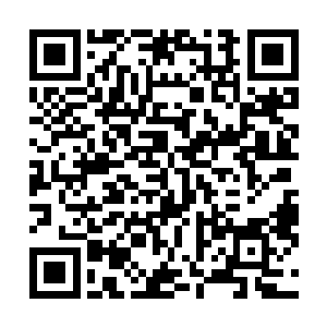 一个王牌大地骑士与普通大地骑士在战斗和生死的感悟上二维码生成