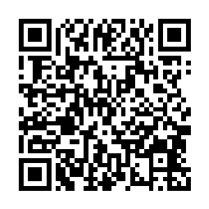 一个生长于俄罗斯犹太人移民家庭的公司摄影师二维码生成