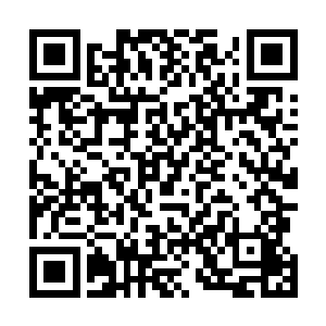 一个由五辆车子组成的车队径直朝竹林中的空地飞驰而来二维码生成