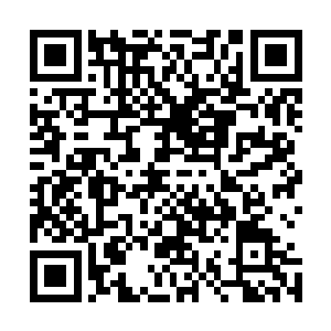 一个由全世界爱国华侨华商等等组织在一起的神秘跨国集团二维码生成