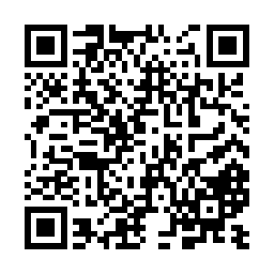 一个由尸体碎块所组成的小怪物便从里面爬了出来二维码生成