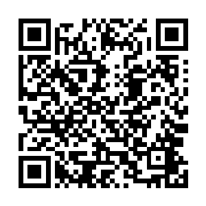 一个由法力凝结而成了球状气罩将粉碎的草药笼罩在里面二维码生成