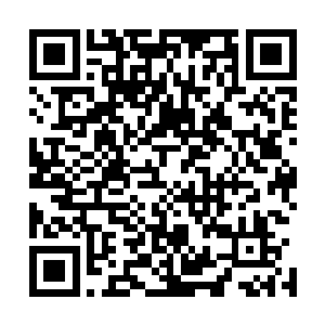 一个由石头汇聚而成的半身蛇人朝着沉睡的芸香飞扑了过去二维码生成