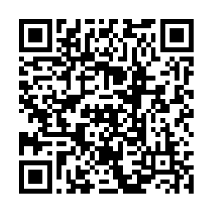 一个白发苍苍的老者在两个聚宝楼的护卫的押送下二维码生成