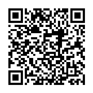 一个白发苍苍的老者正如同池佳一上一次见到的一样二维码生成