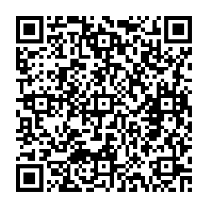 一个白胖的身影就快速的钻入了那个血池之中了……自然就是秦方的宠物之一的神蚕了二维码生成