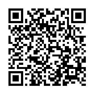 一个白莲境界的修士能在星宿海戡乱会做到这个地步二维码生成