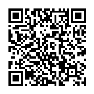 一个目睹了这一切的人感慨的看着赵纯良从高空落下二维码生成