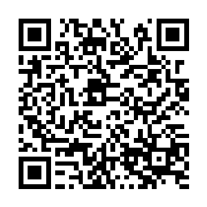 一个看不懂剧情走向的围观群众问出了大家的疑问二维码生成