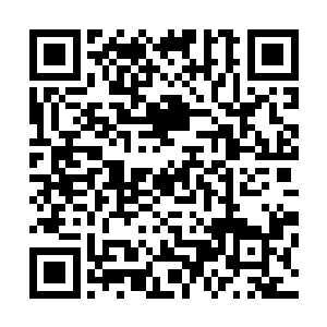 一个看起来是幼女的半精灵就应该具备成人的知识和人格了二维码生成