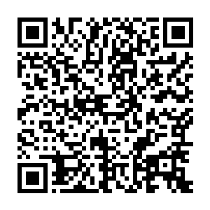 一个破道顶峰的高手竟然在龙傲天的手中完全没有丝毫的还手之力二维码生成