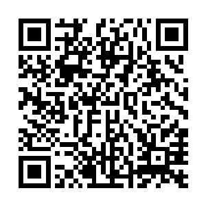 一个社区管理者竟然沦落到在自己管理的剧情世界中瞎折腾二维码生成