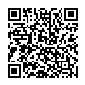 一个究极体母巢就足以抵得上一个神族百亿人的军团二维码生成