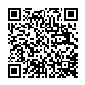 一个穿着红衣的大约十几岁的小女孩子突然冲小龙说了起来二维码生成