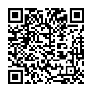 一个穿着胭脂色撒花缎面交领比甲的婆子急急的跑了进来二维码生成