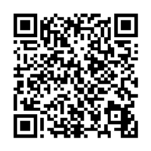 一个穿着鹅黄色羽绒服的姑娘正拖着一个硕大的硬壳皮箱二维码生成