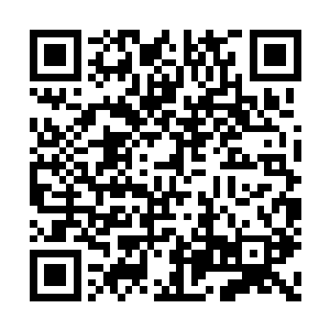 一个简单的动作就能判断出对方想要传递的信息二维码生成