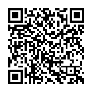 一个简易的行军睡袋铺在房间门口左边的地板上二维码生成