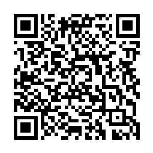 一个精瘦身上满是毛毛的中年男人弓腰走到死神奥德身旁二维码生成