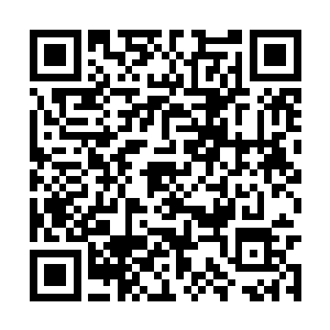 一个紫色的身影瞬间出现在了另外一头黑龙的背上二维码生成