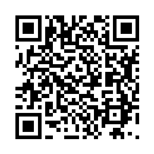 一个组织的强大根本就没有任何意义二维码生成