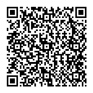 一个综合实力比普通九级略强的家伙被一个十级的家伙给堵在了那个没有多少腾挪空间的地方二维码生成